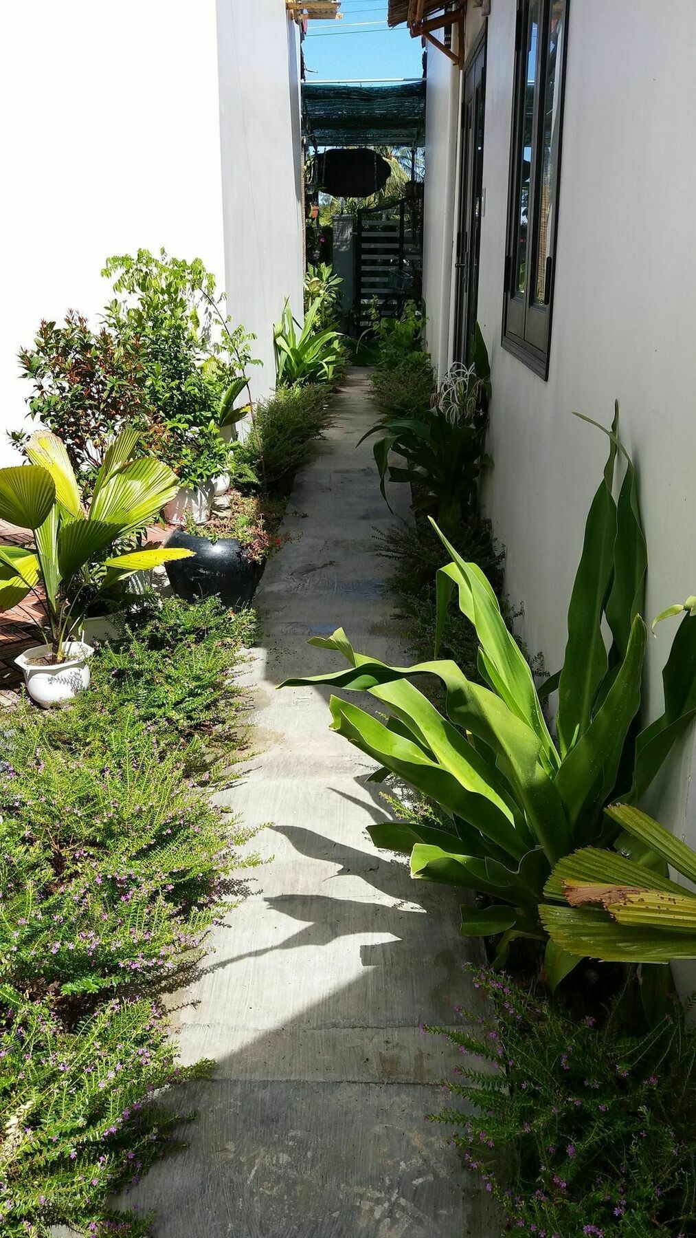 Lido Villa ฮอยอัน ภายนอก รูปภาพ